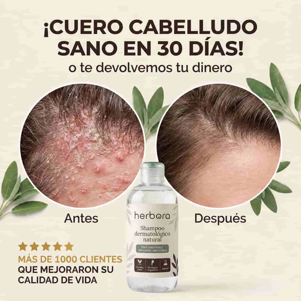 Herbora