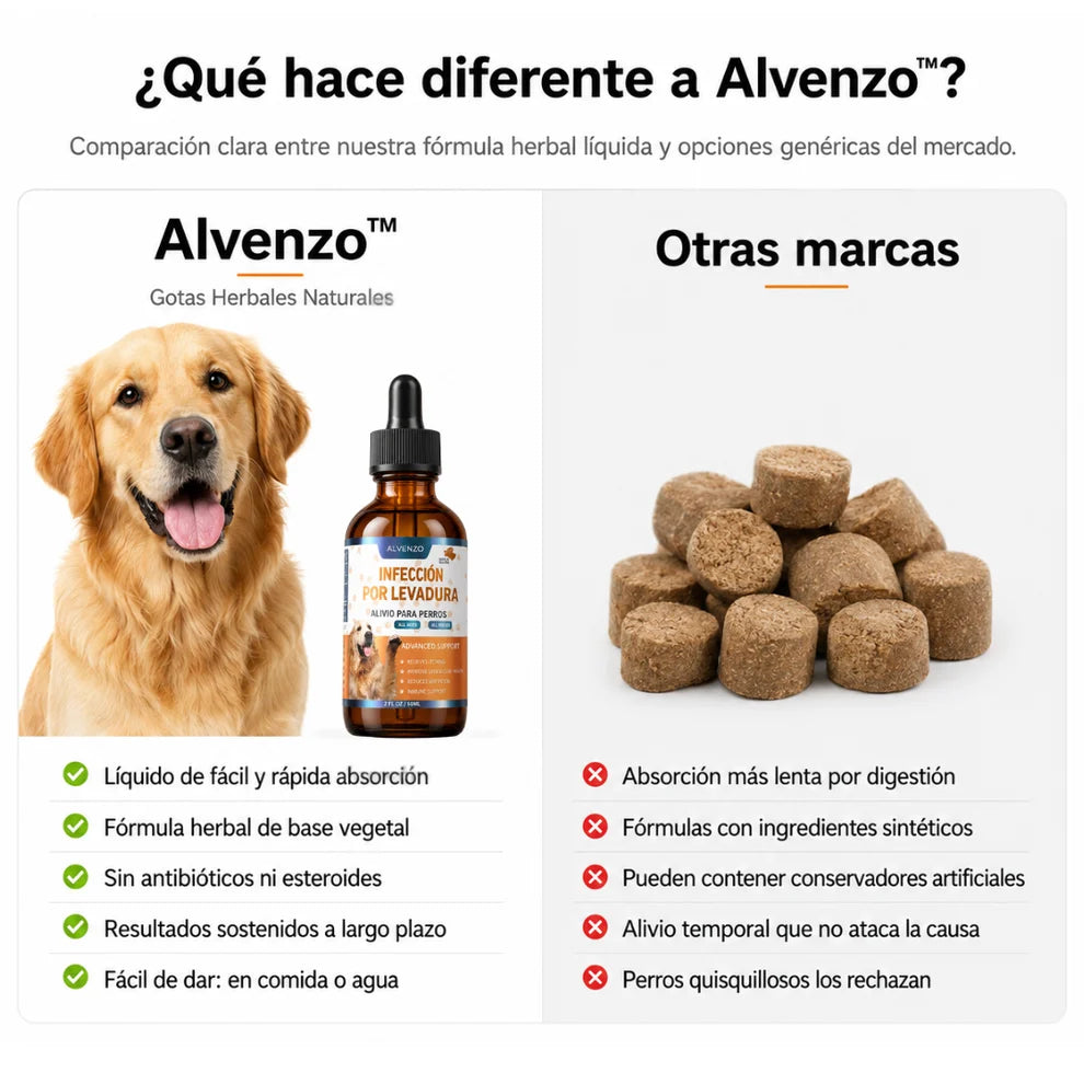 Alvenzo